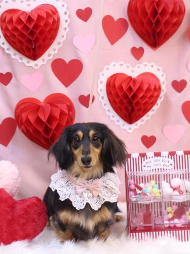 20240210ロイくん